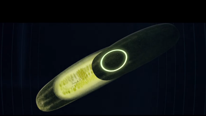 Com “Pepino Phone”, Abinee quer alertar sobre pirataria