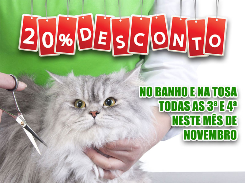 Campanha promocional para a Cão Q Mia