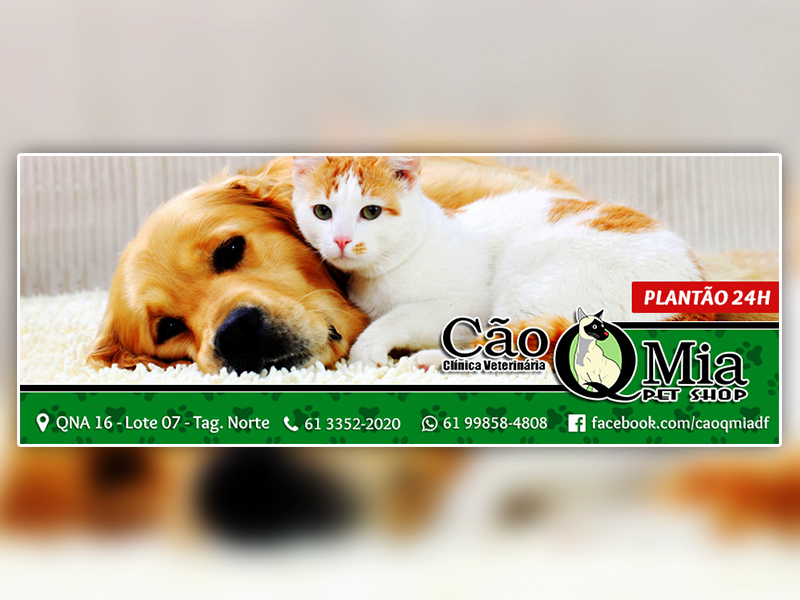 Capa Facebook – Cão Q Mia