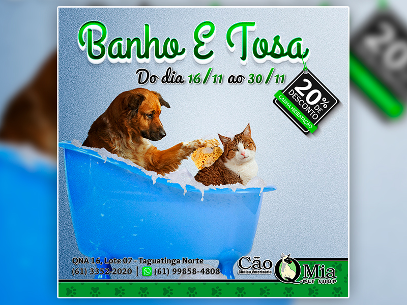 Promoção de Banho & Tosa – Cão Q Mia